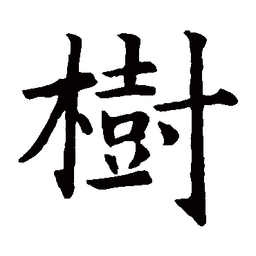 智永