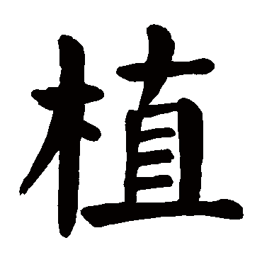 颜真卿