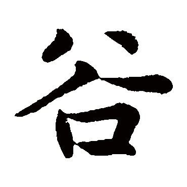 张雨