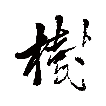 张雨