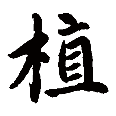 赵孟頫