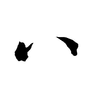 智永