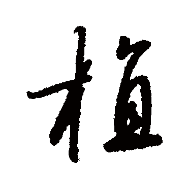 赵构
