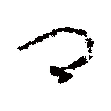 赵构