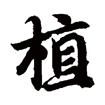 智永