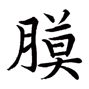 蔡襄