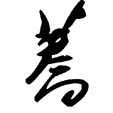 毛泽东