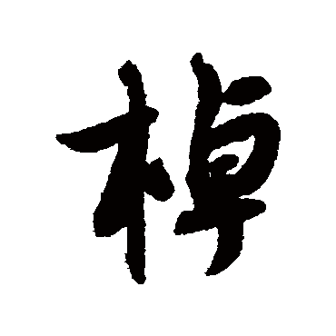 薛绍彭