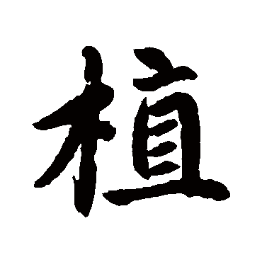 赵孟頫