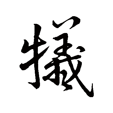 白宗杨