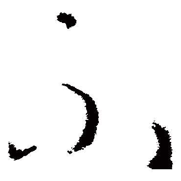 王导