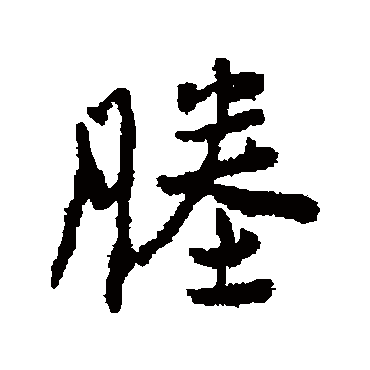 杨慎