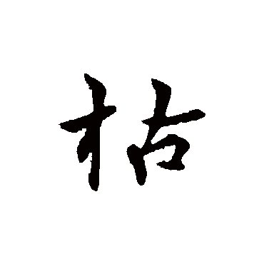 张雨