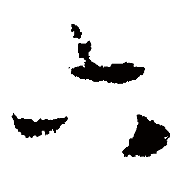 赵构