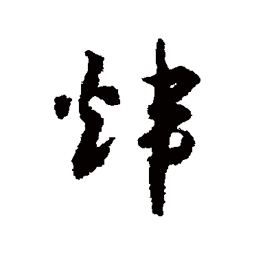赵构