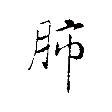 赵构