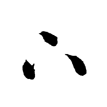 智永
