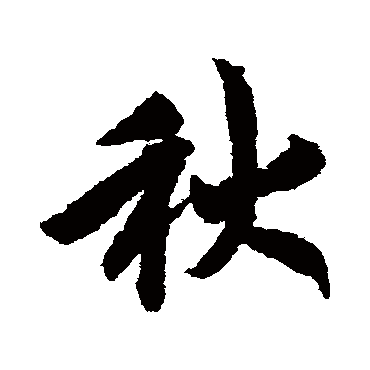赵构