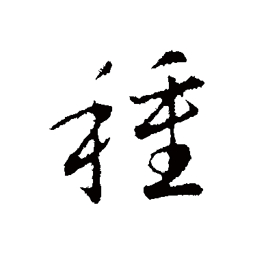 赵构