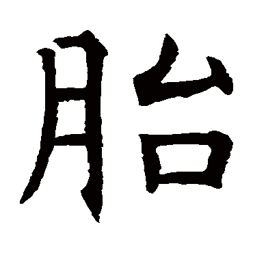 王知敬