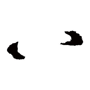 王民