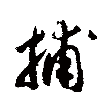 赵构