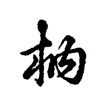 辨体