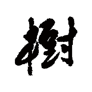陈淳