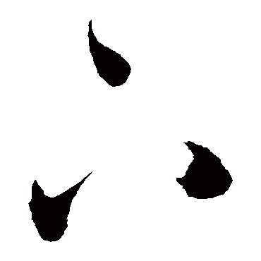 陈淳