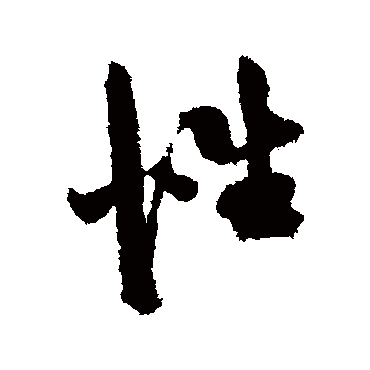 陈淳